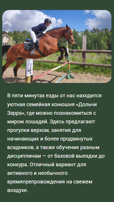 Andreev's Дача 33